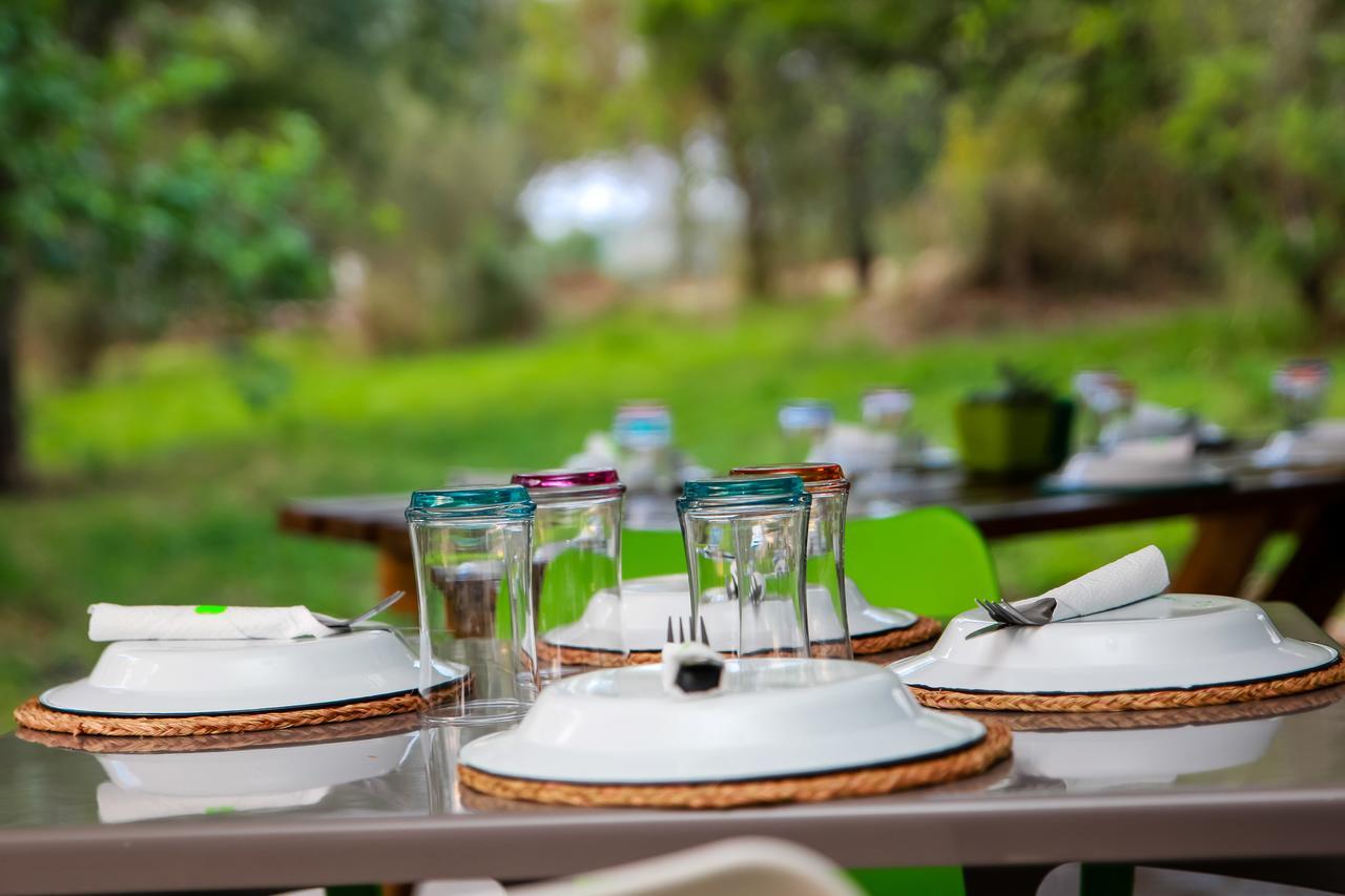 Bushbaby Lodge At Nkonyeni Manzini Buitenkant foto